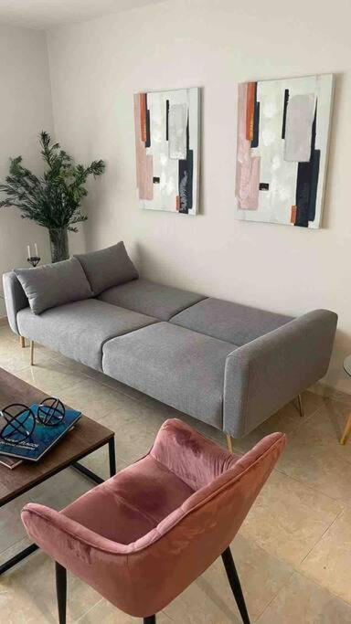 Vacation In Apartamento